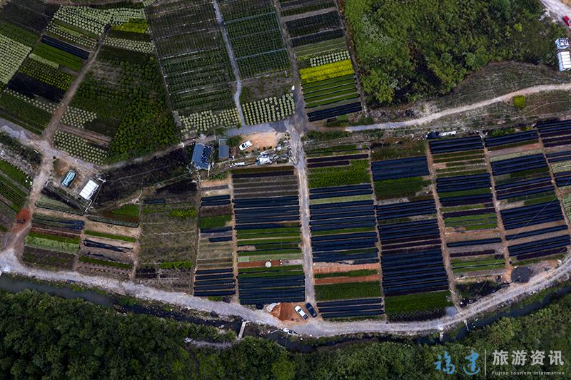 10月2日，航拍下的福州市罗源县碧里乡西洋村一家花卉基地（无人机照片）。1.jpg