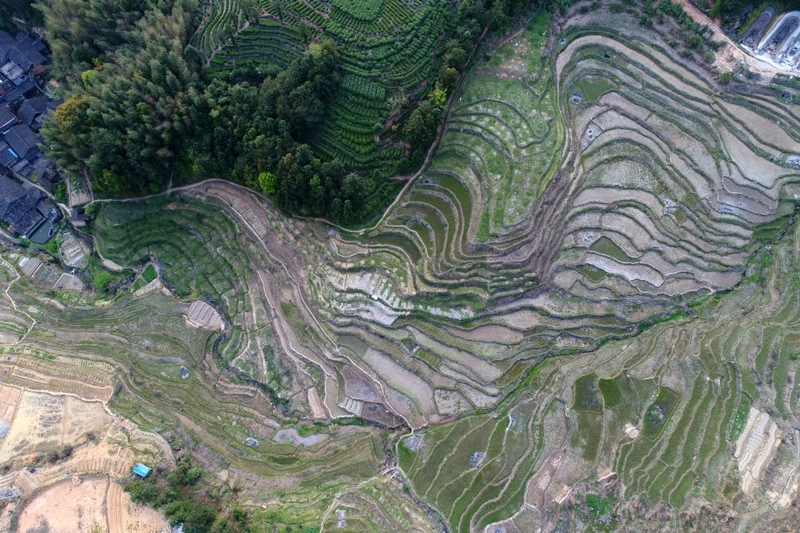 坂中畲族乡许洋村航拍全景