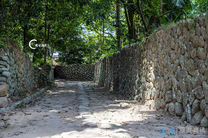 在福州乡村,房前屋后的菜园,一般都用篱笆围着,而埔埕村却多用鹅卵石